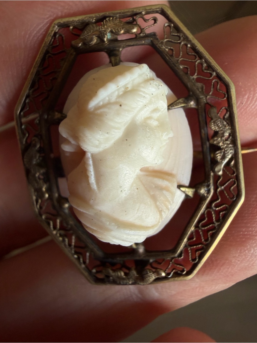 Vintage Cameo Portrait Brooch in Cream and Gold/Brass
